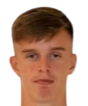 dominik drobnic logo