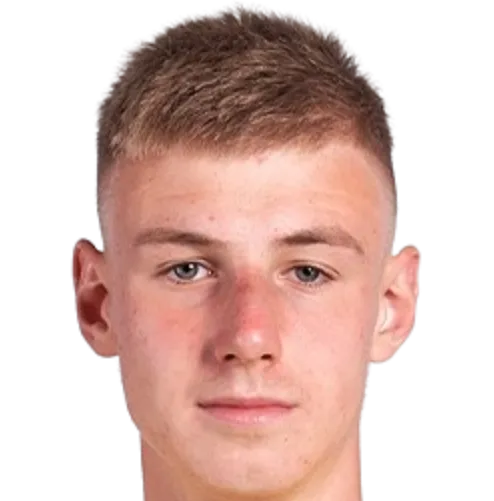 synchuk hennadii logo