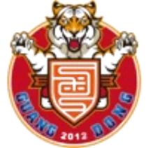 Guangdong Southern Tigers(2012-2020) logo