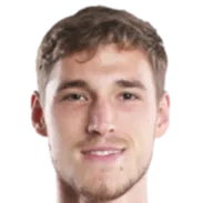 vsevolod nihaev logo