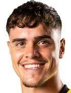 Vincent Friedsam logo