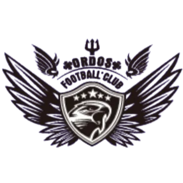 Ordos Dongsheng Mansen