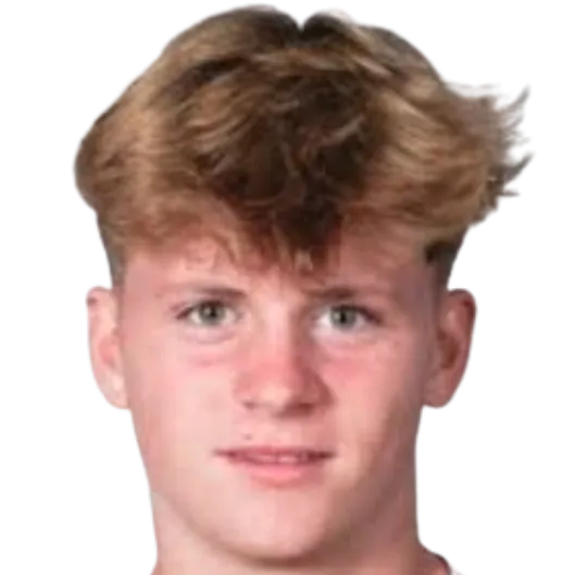 Sofus Johannesen photo