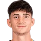 Tommaso Di Marco logo