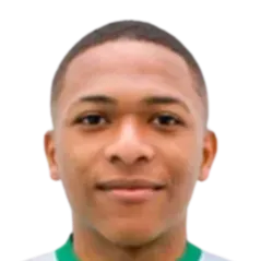 Alexandro Licona logo