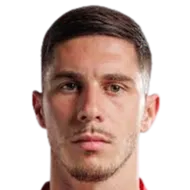 Srđan Plavšić logo