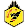 CTX Hornets (w) logo