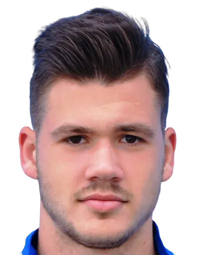 Marko Dobrijevic logo