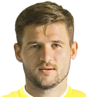 Mykhailo Shyshka logo