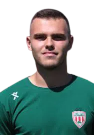 Ahmed Hasanovic photo