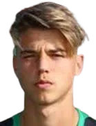 Federico Artioli logo