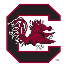 South Carolina (w) logo