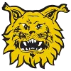 Ilves U20 logo