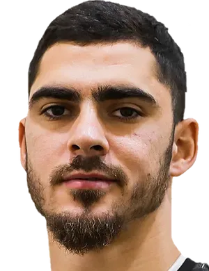 Ramil Sheydayev logo