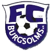 FC Burgsolms logo