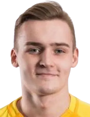 Ronaldo Tiismaa logo