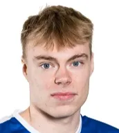 Arvi liljaniemi logo