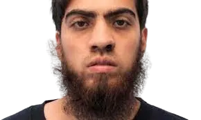 Mohammed shoybur logo