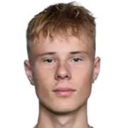 Gabriel hallsson photo 