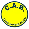 Andraus Brasil/PR U19 logo
