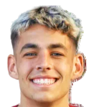 Nick Salihamidžić logo