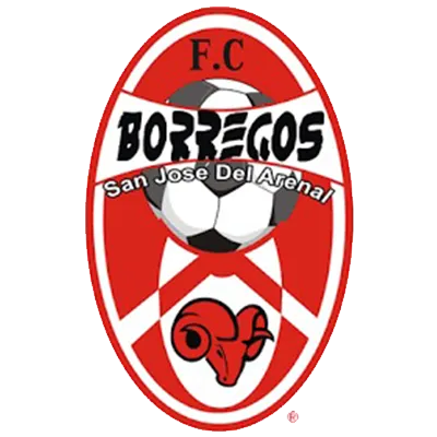 FC San José del Arenal logo