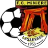 Miniere Lasauvage logo