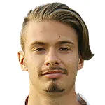 Lorenzo Polvani logo