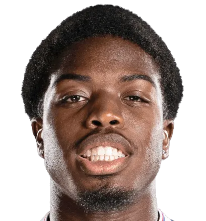 nathan ferguson logo