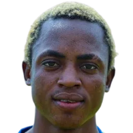 Deivi Miguel Vieira logo