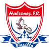 Halcones