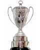 Latvian cup winner logo
