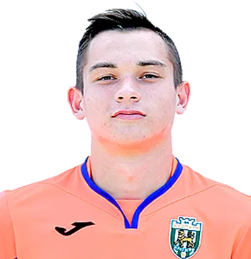 Valentin Gorokh logo