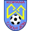 Novy Jicin logo