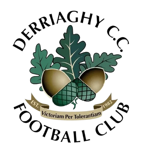 Derriaghy FC logo