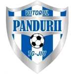 ACS Viitorul Pandurii Targu Jiu II logo