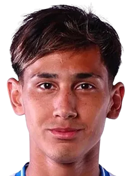 Demián Leonel Domínguez logo