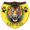 Mighty Tigers logo