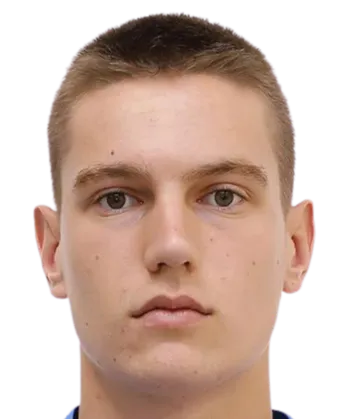 Denis Stefanov Dinev logo