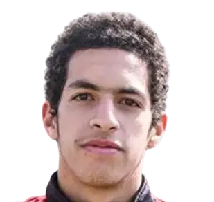 Mostafa Shobeir logo