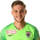 Anthony Von Arx logo