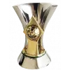 Brazilian champion logo