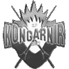 Kongarnir logo