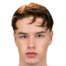 Nickolay Arsbog logo