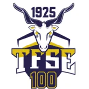 TFSE Budapest logo