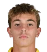 Francesco Raffaelli photo