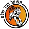 Hapoel Kfar Shalem logo