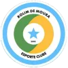 Rolim de Moura U20 logo
