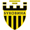 Bukovyna 2 logo