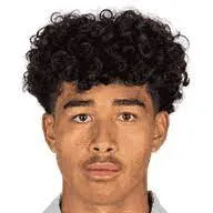 alejandro araneda logo